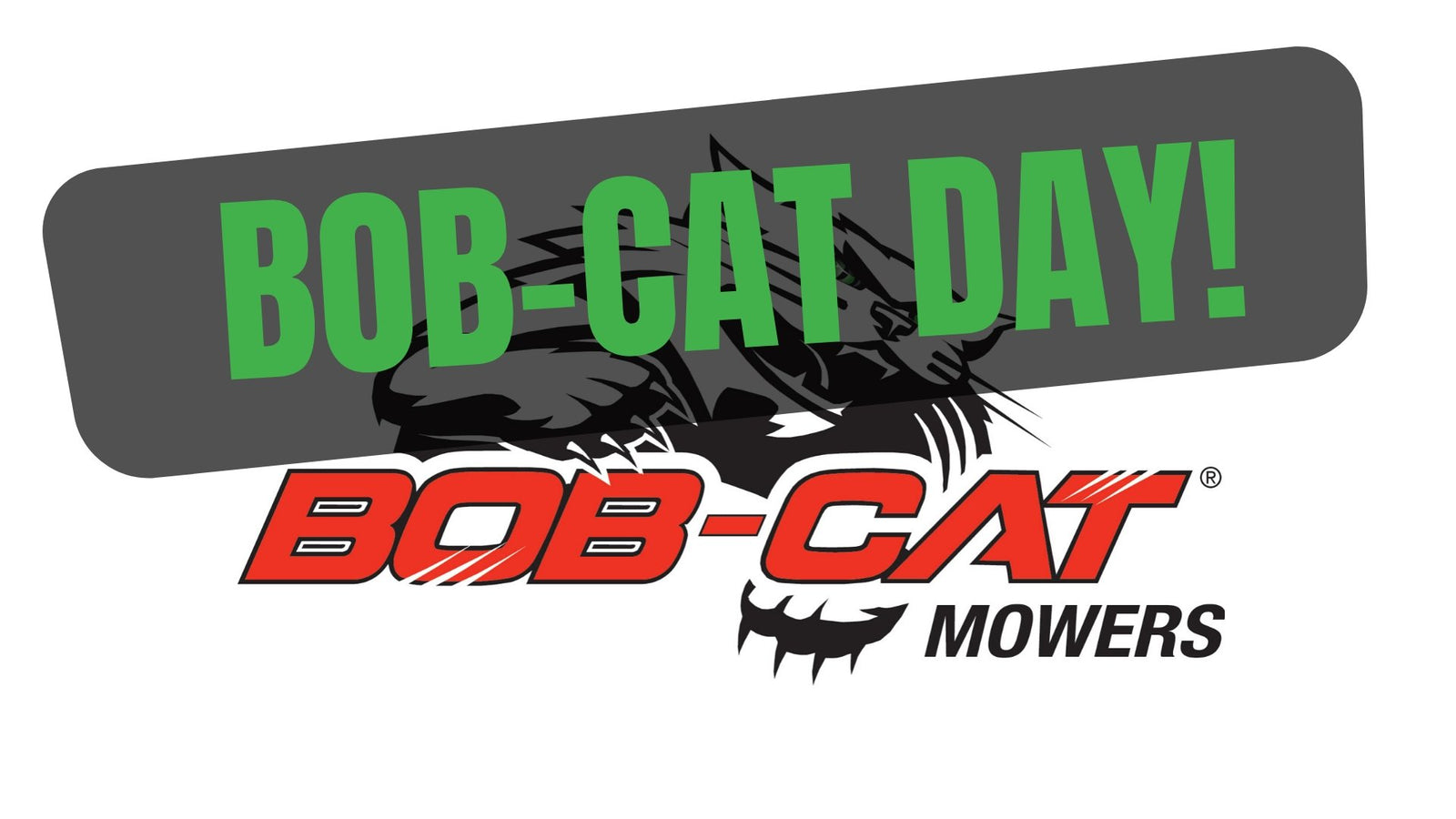 BOB-CATS were spotted at Catch Pro Paddock.... | Catch Pro Australia