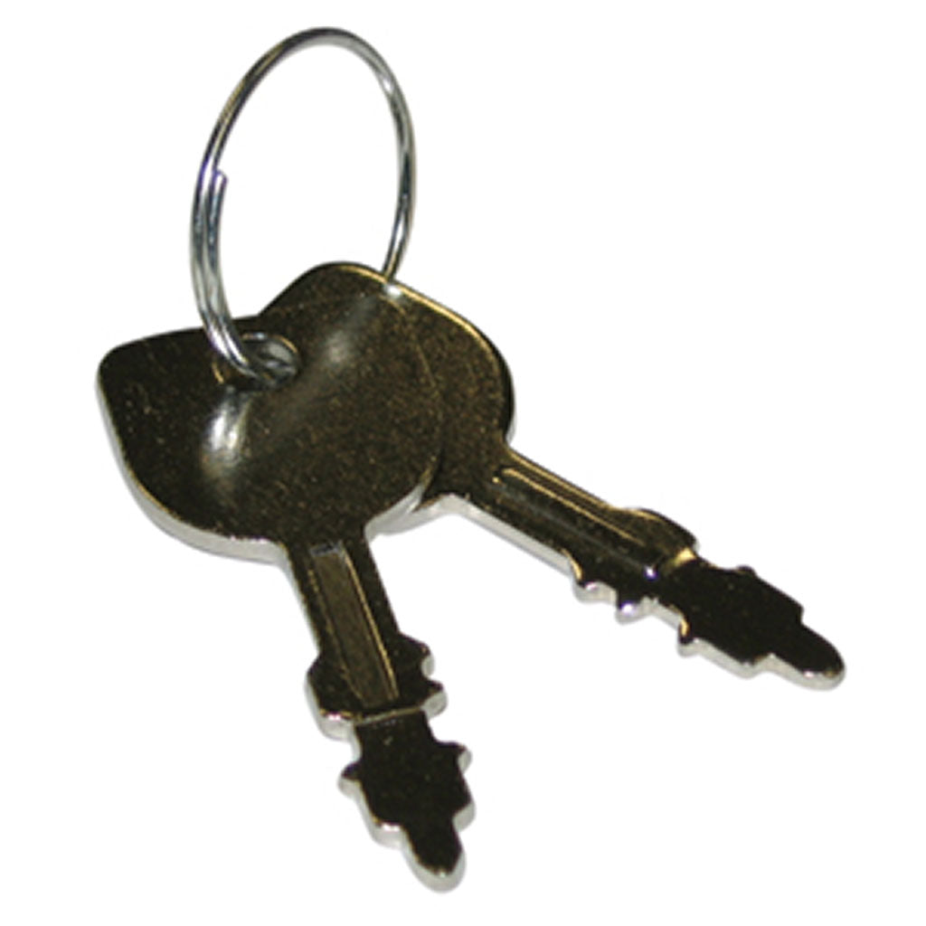 IGNITION KEYS (1 PAIR) SUITS SELECTED MURRAY RIDE-ONS