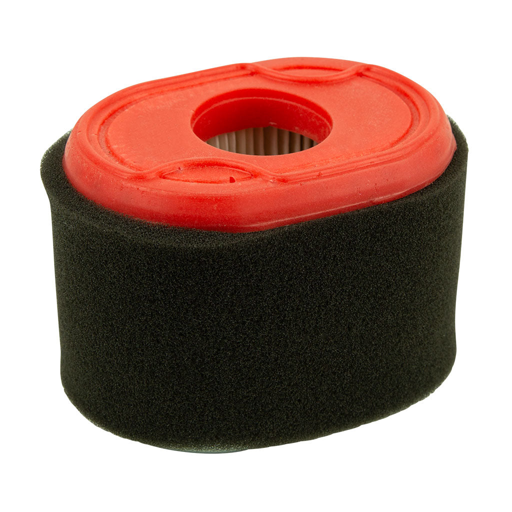 BRIGGS & STRATTON AIR & PRE FILTER
